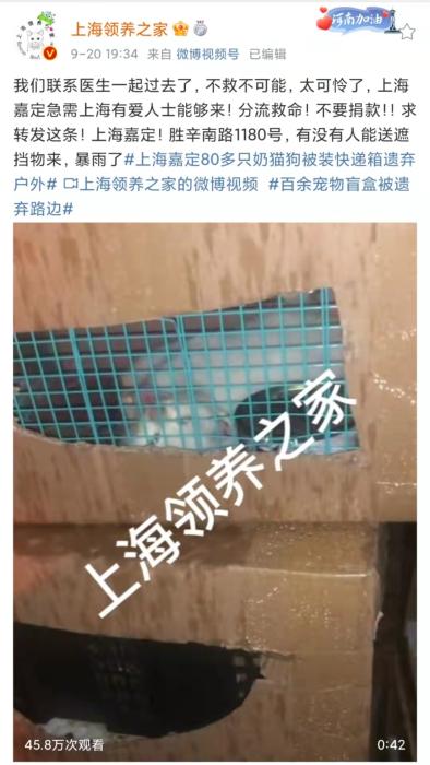 上海领养之家微博截图。
