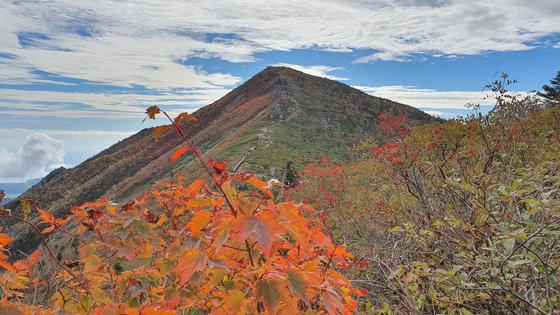 图为中秋期间江原道雪岳山的大青峰和中青峰一带已经开始现出红色的枫叶在吸引着登山客。【照片来源：韩联社】