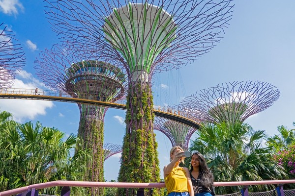 新加坡可以无隔离入境后，韩国国内旅客对新加坡旅游的关注度大幅增加。照片中是新加坡地标“滨海湾花园(Gardens by the Bay)”，拍摄于2019年。【白钟贤 记者】