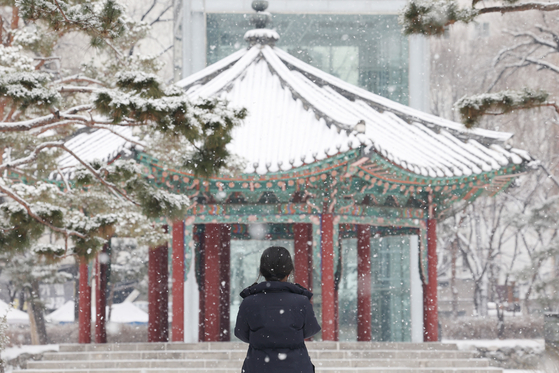 19日上午，首尔降下大雪。图为当天首尔市钟路区塔谷公园的雪景。【照片来源：韩联社】