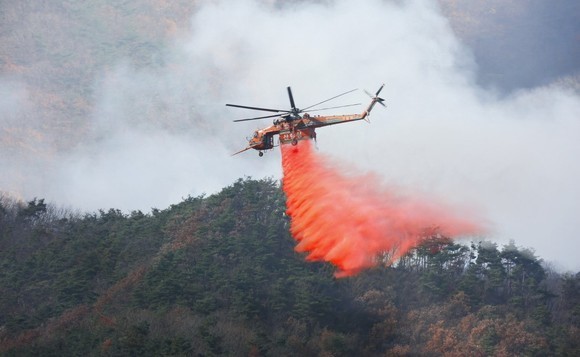 本月4日发生的庆北蔚珍森林大火已经持续了4天。韩国山林厅中央森林火灾防止对策本部7日表示，为了保护蔚珍金刚松生态群落，正在全力以赴。蔚珍金刚松生态群落地区分布着8万5000多棵树龄在200年以上的金刚松。图为灭火直升机正在投放火灾阻燃剂(retardant)。【照片来源：韩联社】