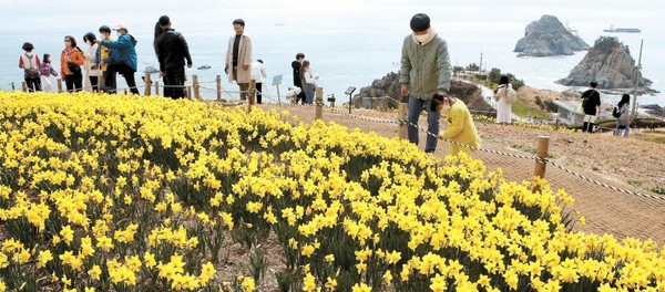 21日是春分，图为釜山市南区五六岛日出公园的赏春游客望着盛开的水仙花和蔚蓝的大海，释放新冠疫情的压力。