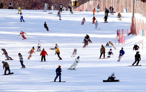 图为江原道地区滑雪场开始营业的12月2日，在凤凰城平昌度假村滑雪场上，滑雪者们正在雪原上疾驰。据韩国气象厅预报，受西伯利亚高压的影响，今天(5日)首尔的体感温度将降至零下12度等，全国将出现短暂的寒潮天气。【照片来源：NEWSIS】