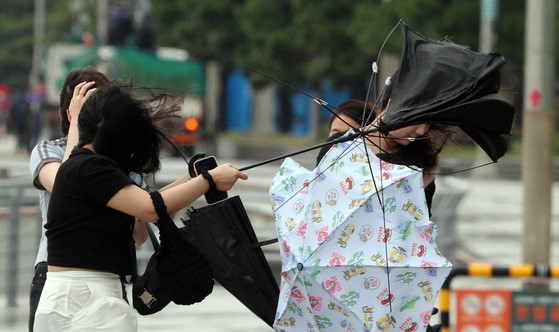 受6号台风“卡努”的影响，9日下午，在釜山海云台海水浴场LCT典藏酒店前艰难撑伞的市民们。【照片来源：NEWSIS】