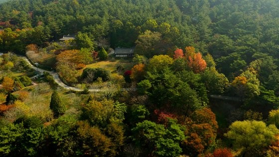 忠清南道泰安千里浦植物园的庭院和木莲园风景。【照片来源：千里浦树木园】