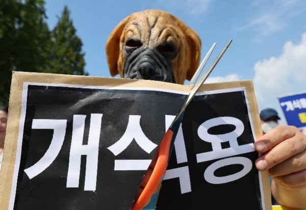 8月31日，韩国动物保护协会会长李元福(音)在首尔汝矣岛国会前举行记者会，敦促国会年内通过禁止食用狗肉法。图为其在记者会上进行的反对食用狗肉的行为艺术。【照片来源：NEWS1】 