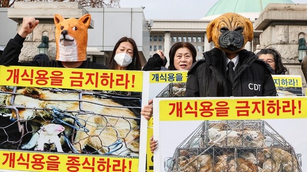 13日下午，“禁止食用狗肉法”得到国会农林畜产食品海洋水产委员会通过，韩国动物保护联合会员们在首尔永登浦区国会前的欢迎记者会上展开活动。【照片来源：NEWS1】