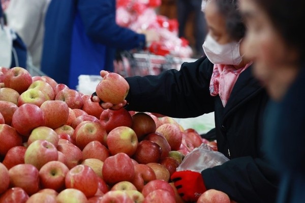 韩国的苹果等水果价格持续上涨，图为本月1日首尔市内某大型超市内正在挑选苹果的市民。【照片来源：韩联社】