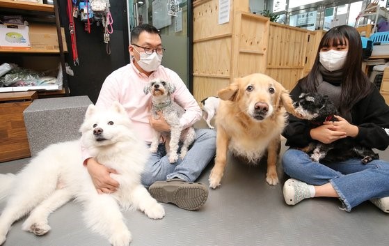 图为光州广域市西区枫岩洞的一家临时宠物寄养中心“THE PET HOUSE”。【自由撰稿人 张政弼】