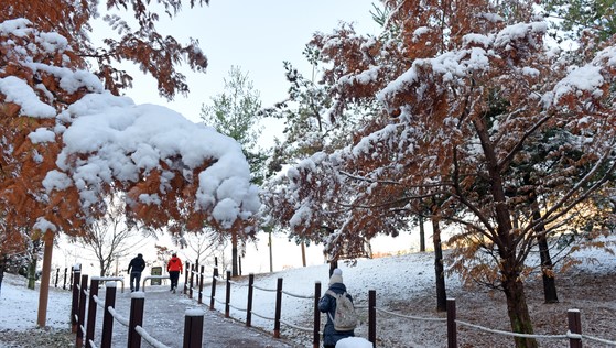 23日，忠清地区各地下起了雪，图为忠南天安市双龙公园的积雪。【照片来源：NEWS1】