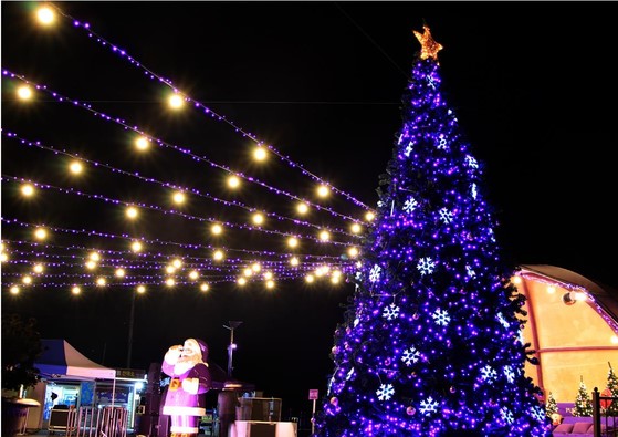 全罗南道新安郡30日表示，在半月、朴支岛上举行了紫色圣诞老人和大型圣诞树亮灯仪式。图为灯光亮起的紫岛圣诞树【照片来源：韩联社】