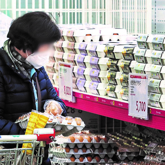 据韩国农林畜产食品部5日表示，忠南天安的蛋鸡场确诊了高致病性禽流感(AI)。人们因此担心鸡蛋价格可能会因此再次上涨。 图为6日下午，顾客在首尔一家大型超市挑选鸡蛋。 【照片来源：NEWSIS】