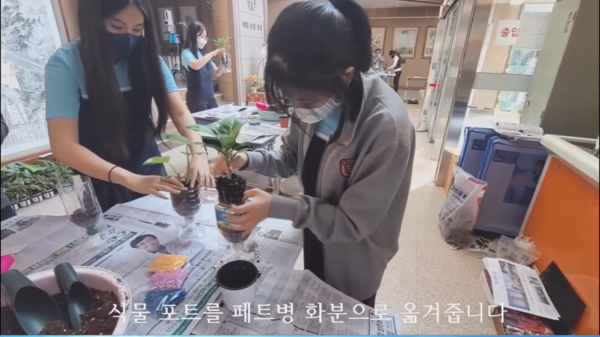 庆州市堇花女子中学同学科学小实验《回收利用塑料瓶制作小花盆》
