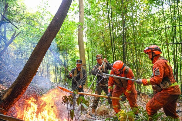 图为大足山火火场，武警官兵正协同消防队员进行灭火。