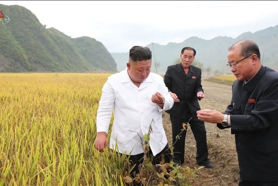 图为朝鲜国务委员长金正恩去年10月访问江原道金华郡水灾重建现场，查看稻粒。【照片来源：中央朝鲜电视台截图，韩联社】