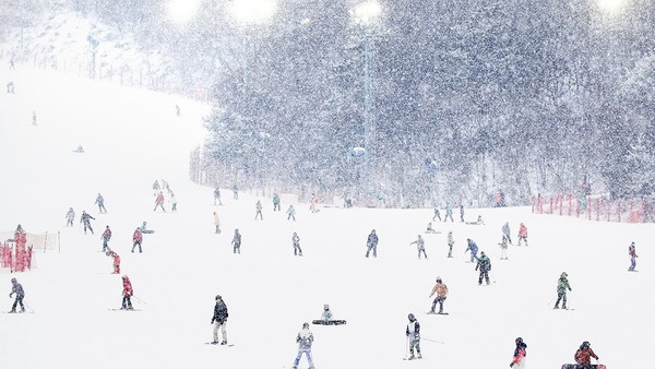 26日，韩国首都圈地区下起大雪，图为当天下午在京畿道广州市昆池岩度假村滑雪场，市民们正通过滑雪尽情享受冬天的乐趣。【照片来源：NEWS1】 
