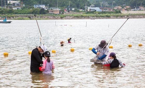“蟾津江捕江蚬”？这可是韩国渔业领域首个被列入联合国粮农组织世界重要农业遗产名录的捕鱼文化。在河东蟾津江捕江蚬文化庆典上也可以体验。【照片来源：河东郡】