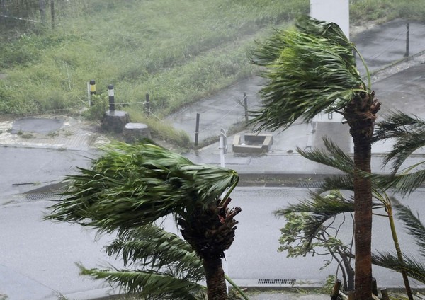 本月5日，处于第6号台风“卡努”影响圈内的日本冲绳县那霸市的人行道旁树木因强风和暴雨折断。【照片来源：美联社=韩联社】