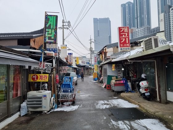 9日，在首尔东大门区附近的小巷口里，狗肉汤店正在营业，但很少有顾客光顾。【摄影：朴钟书(音)记者】