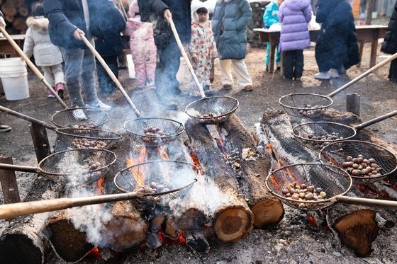 无论大人还是小孩，都很喜欢烤栗子的体验活动。点燃橡木柴火，烤当地农田生产的栗子吃。