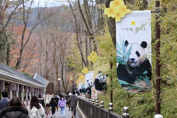 爱宝乐园熊猫馆外面悬挂的福宝横幅。【图片来源：爱宝乐园】
